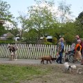 IMG_1879715