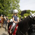 IMG_1882173