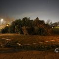 IMG_1901727