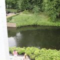 IMG_1988365