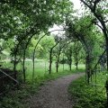 IMG_1988447