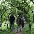 IMG_1988449