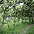 IMG_1988453