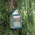 IMG_1989078