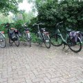 IMG_1989079