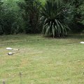 IMG_1989081
