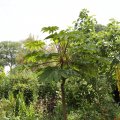 IMG_1989083