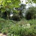 IMG_1989088