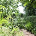 IMG_1989089