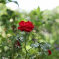 IMG_1989092