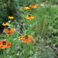IMG_1989094
