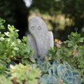 IMG_1989098