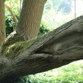 IMG_1989100