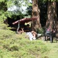 IMG_1989103
