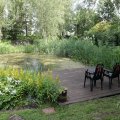 IMG_1989106
