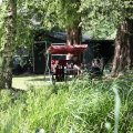 IMG_1989115