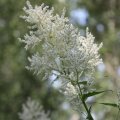 IMG_1989118