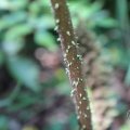 IMG_1989119