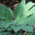 IMG_1989120