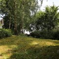 IMG_1989123