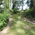 IMG_1989124