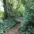 IMG_1989125