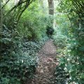 IMG_1989126