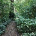 IMG_1989128