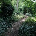 IMG_1989129