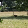 IMG_1989131