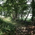 IMG_1989132