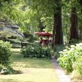 IMG_1989135