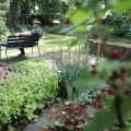 IMG_1989144