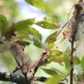 IMG_1989147