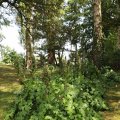 IMG_1989150