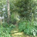 IMG_1989151
