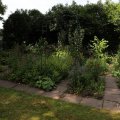 IMG_1989153