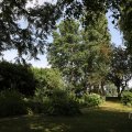 IMG_1989156
