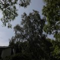 IMG_1989159