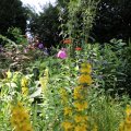 IMG_1989171
