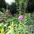 IMG_1989172