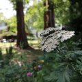 IMG_1989174