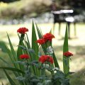 IMG_1989177
