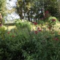 IMG_1989178