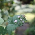 IMG_1989191