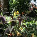 IMG_1989194