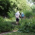 IMG_1989197