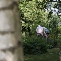 IMG_1989200