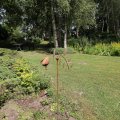 IMG_1989205