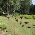 IMG_1989208